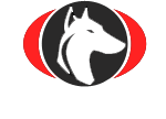 All in One Logo